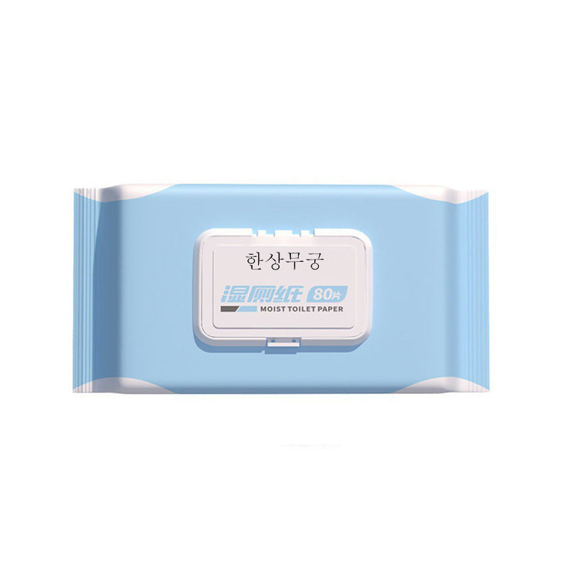 Rainproof Anti-fog Alcohol Shoe Wipe Leather Care Kitchen Cleaning Wet Wipes Baby Wipes Not Irritating Gentle Wholesale